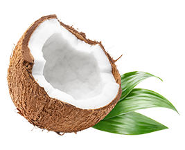 cocco cocco